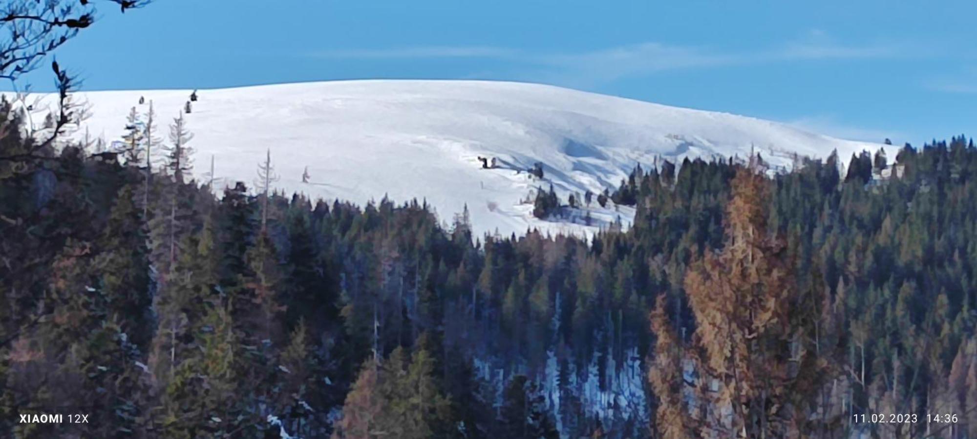 Schicke Ferien Wohnung Mit Tollem Ausblick In Schwarzwald. Вилинген-Швенинген Екстериор снимка